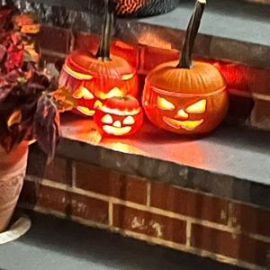 Meet your Posher, Frank Pacino